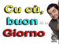 FB_IMG_1615440431281.jpg