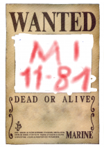one_piece_wanted_poster_by_ei819[1].png