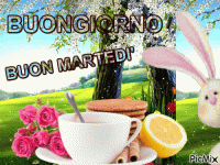 1c4c4296ccb5f1e1e415c6c87074cfe2.gif