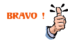 Bravo01.gif