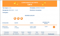 Vincita 08.04.2021 -7.PNG