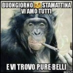 9a0bc33adfb401d5e20d1f18dc4ff670.jpg