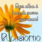 1618048773526.png