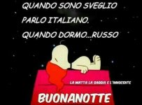 7811095ef2393a75f4cafcca910758e7.jpg