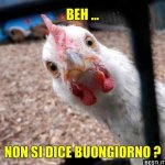 a4524a4c6b3d45cfa7d29afcb245ce55.jpg