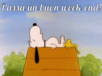 Buon-Fine-Settimana-GIF-5.gif