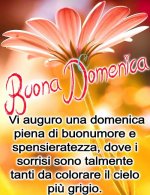 f9210fdc84bc8fef85dc3ee8b70f2b75.jpg