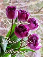 FB_IMG_1620014177025.jpg
