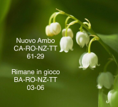 1620380412555.png