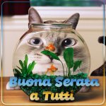 buona-serata-a-tutti-01.jpg