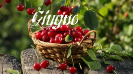 1622521687037.png