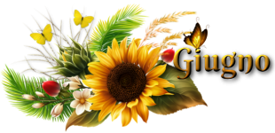 Giugno e girasoli.png