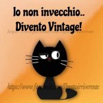 FB_IMG_1622115350183.jpg