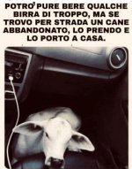 FB_IMG_1623147011171.jpg