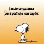 FB_IMG_1623147126604.jpg