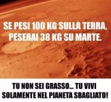 FB_IMG_1623175249539.jpg