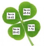 fortuna.JPG fortuna.JPG