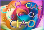 ciao 03.jpg
