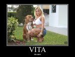 vita da cani.jpg