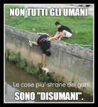 non tutti.jpg