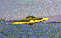 109.gif