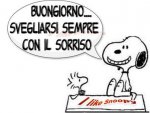 B12.jpg