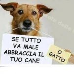 imagesCAVTS0JL.jpg imagesCAVTS0JL.jpg