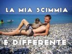 scim diff.jpg