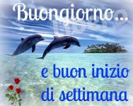 buona-settimana_047.jpg