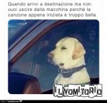 a157ldi2dy-sempre-ahuuuuuuuuuuuu-bestiaccia_b.jpg