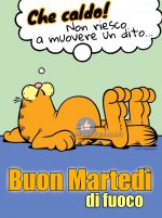 martedì.jpg