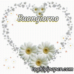 Buongiorno-gif-cuore-fiore-immagini-nuove-bellissime-dolci-divertenti-gratis-WhatsApp-Facebook...gif