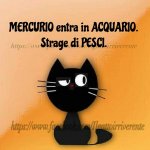 FB_IMG_1625913958329.jpg