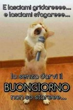 FB_IMG_1625648706722.jpg