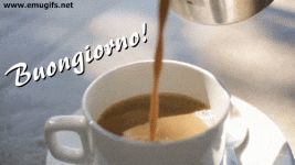 salvocatania_caffe_buongiorno-27.gif