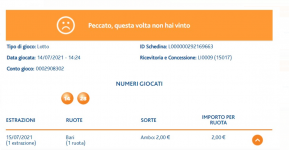 Immagine 2021-07-16 090834.png