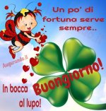 456157bff39afc96de702cdb8ad853c3_30.jpg