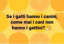 FB_IMG_1626964149462.jpg
