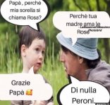 FB_IMG_1626945312351.jpg