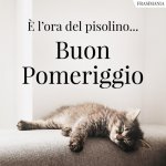 buon-pomeriggio-pisolino-700x700.jpg