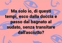 FB_IMG_1629222752427.jpg