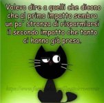 FB_IMG_1629222408835.jpg