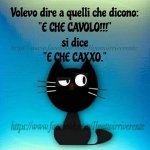 FB_IMG_1629222035214.jpg