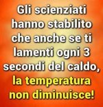 FB_IMG_1629221331700.jpg