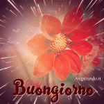 fc8273d75fa688a37022c91ab9a3ff6a.gif