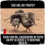 FB_IMG_1629803987959.jpg
