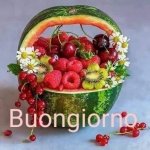 buongiorno3.jpg