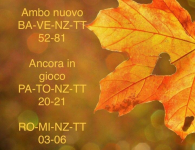 1630495833847.png