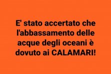 FB_IMG_1630745488818.jpg