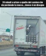 FB_IMG_1630745327974.jpg